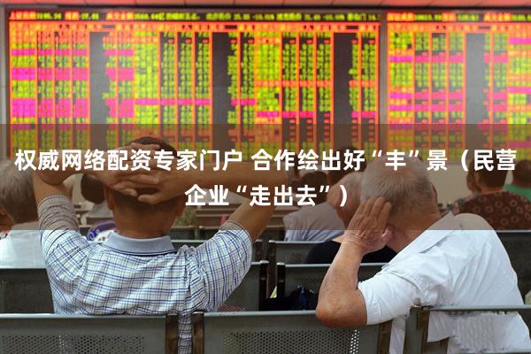 权威网络配资专家门户 合作绘出好“丰”景（民营企业“走出去”）