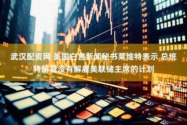 武汉配资网 美国白宫新闻秘书莱维特表示 总统特朗普没有解雇美联储主席的计划
