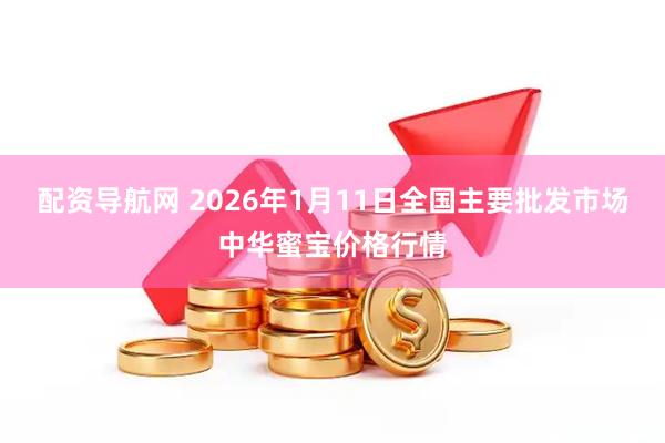 配资导航网 2026年1月11日全国主要批发市场中华蜜宝价格行情